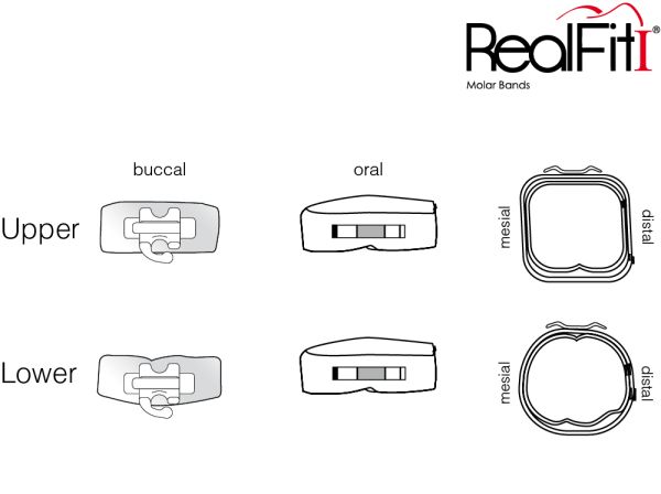 RealFit™ I - Bande molari, Kit introduttivi, Arcata inf., combin. singola (dente 47, 37)  Roth .022"